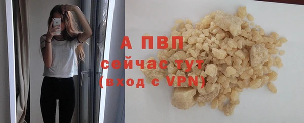 трава Медвежьегорск