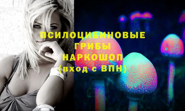 герыч Мегион
