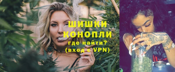 герыч Мегион