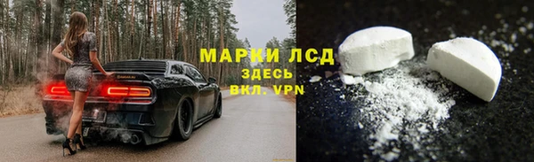 стафф Медногорск